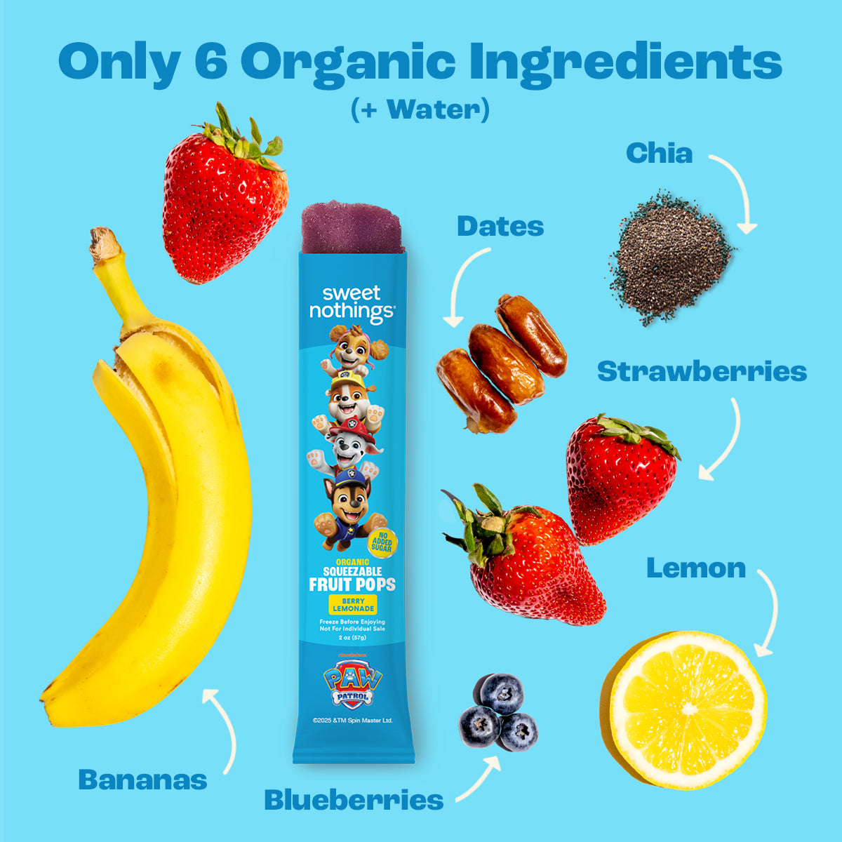 Berry Lemonade PAW Patrol Squeezable Fruit Pop